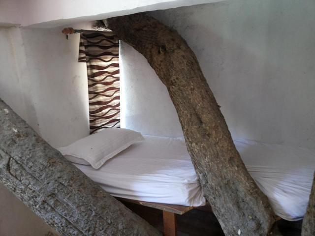 Junglee Resort Rajaji National Park Rishīkesh Pokój zdjęcie